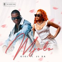 Mjolo Cici and JL SA