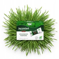 Młody Jęczmień BIO – 125 g Sproszkowany w Saszetkach 25 szt. Organic Foods