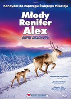 Młody renifer Alex Maidatchevsky Guillaume