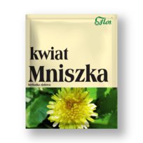 Mniszek kwiat 25 g - herbatka ziołowa środek spożywczy Flos