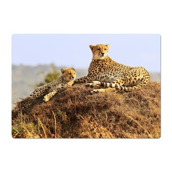Modny eco dywanik pod fotel Gepard młode zwierzę, ArtprintCave - ArtPrintCave