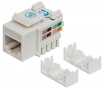 Moduł Keystone Intellinet RJ45 UTP Cat.6 Biały - Intellinet