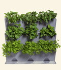 Modułowy ogród domowy zielnik zielona ściana Minigarden Vertical - szary - 9 roślin MGSET1GY - Minigarden