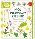 Mój pierwszy zielnik. Zbieram kwiaty, liście i trawy - Stefanie Zysk