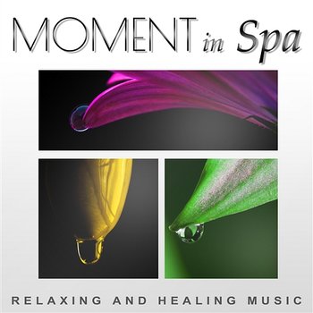 Moment in Spa: Relaxing and Healing Music – Deep Meditation, Harmony with Body and Soul, Tibetan Sounds, Relax in Spa - Mindfulness Meditation Music Spa Maestro