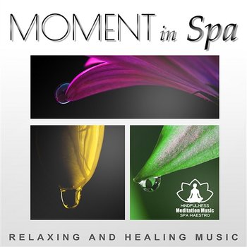 Moment in Spa: Relaxing and Healing Music – Deep Meditation, Harmony with Body and Soul, Tibetan Sounds, Relax in Spa - Mindfulness Meditation Music Spa Maestro