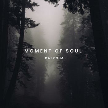 Moment of Soul - Ralko M