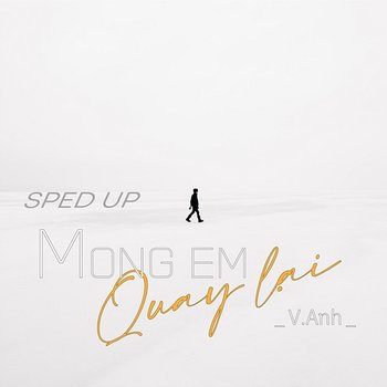 Mong Em Quay Lại - V.Anh