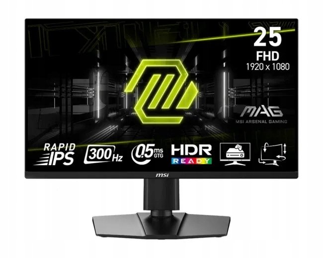MSI Monitor MSI MAG 255PXF
