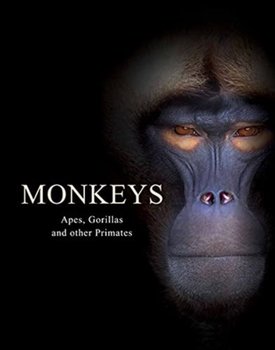 Monkeys: Apes, Gorillas and other Primates - Jackson Tom