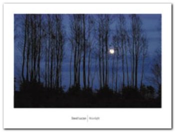 Moonlight plakat obraz 80x60cm - Wizard+Genius