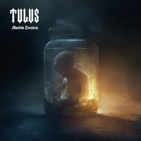 Morbid Desires Tulus