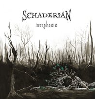 Morphosis Schaderian