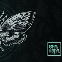 Motyl Opał
