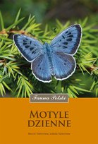 Motyle dzienne Sielezniew Marcin, Izabela Sielezniew