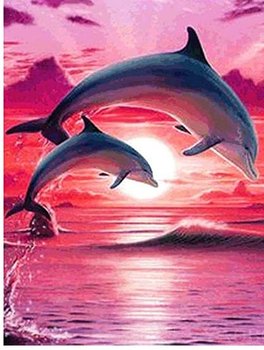 Mozaika diamentowa delfiny o zachodzie słońca - Norimpex