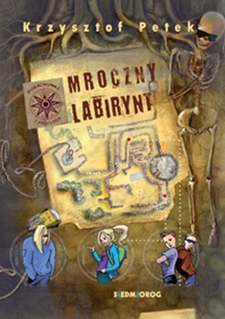 Mroczny labirynt - Petek Krzysztof