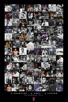 MUHAMMAD ALI plakat 61x91cm - Pyramid Posters