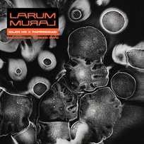 MURAL Larum, Paprodziad, Bilon HG