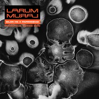 Mural Larum (Bilon HG x Paprodziad x Szwed Swd)