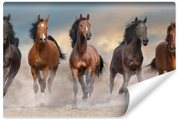 Muralo, Fototapeta 3D, galopujące konie, 315x210 cm - Muralo