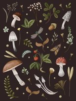 Mushroom Lined Journal Quarto Publishing