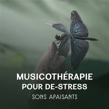 Musicothérapie pour de-stress – Sons apaisants, Capter l'énergie positive, Réduire le stress, Yoga exercise - Académie de Musique Anti-stress