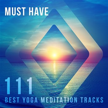 Must Have: 111 Best Yoga Meditation Tracks, Time to Leisure, Extreme Zen Relaxation of Conscious Deep Sleep, Serenity Music for Mindfulness, Inner Balance - Meditation Music Zone