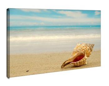 Muszla na plaży - obraz na płótnie 60x40 cm - Galeria Plakatu