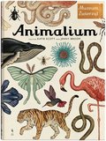 Muzeum zwierząt. Animalium - Broom Jenny