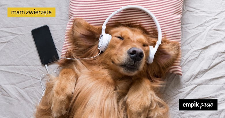 Muzyka dla psa – jakie dźwięki zrelaksują czworonoga, a których lepiej unikać? 