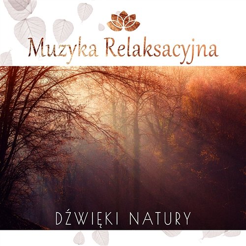 Muzyka Relaksacyjna: Dźwięki Natury – Szum Fal, Śpiew Ptaków, Spokojna