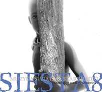 Muzyka świata: Siesta. Volume 8 Various Artists