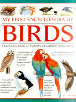 My First Encylopedia of Birds (giant Size) Bugler Matt