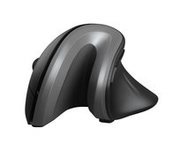 Mysz bezprzewodowa TRUST Verro Ergonomic 23507 czarna (37952945 ) Trust