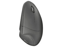 Mysz TRUST Verto, 1600 DPI, 2.4 GHz Trust