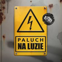 Na luzie Paluch, Leśny feat. DJ Taek, Bodhi