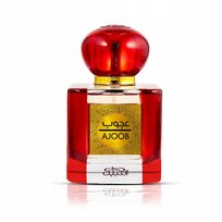 nabeel ajoob