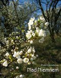 Nad Niemnem - ebook epub - Orzeszkowa Eliza