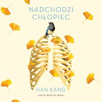 Nadchodzi chłopiec - audiobook