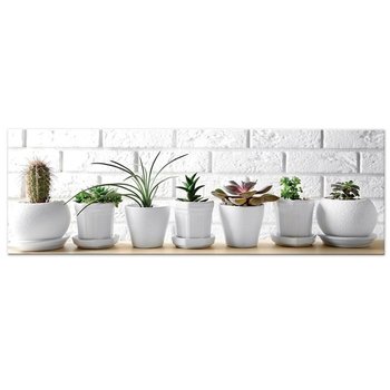 Nadruk na płótnie CACTUS, 90x30 cm