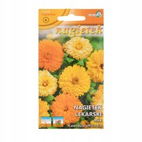 NAGIETEK LEKARSKI mieszanka kolorów MIX DZIAŁANIE LECZNICZE NASIONA p. DE80016320229121, PL130/12/210/475A