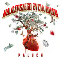 Najlepszego Życia Diler Paluch