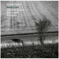 Naked Truth, płyta winylowa Avishai Cohen
