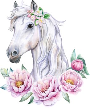 Naklejka na ścianę Biały Koń z piwoniami pony kucyk horse akwarela boho, 120x100 cm - Naklejkolandia