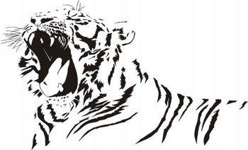 Naklejka na ścianę tygrys - Dzikie koty 12, 80x48 cm - Naklejkolandia
