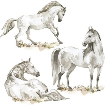 Naklejka na ścianę zwierzęta - dzikie konie - MagicalRoom