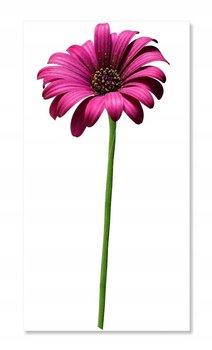 Naklejka ścienna kwiaty 30cm Gerber 2 różowy, 30 cm - Naklejkolandia