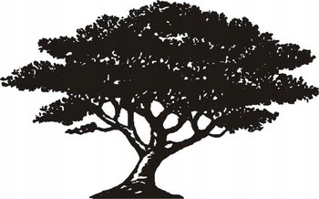 Naklejka z drzewem na ścianę drzewa drzewko Baobab, 80x50 cm - Naklejkolandia
