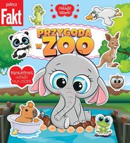 Naklejki Iskierki Ringier Axel Springer Polska Sp. z o.o.